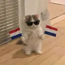 Hollanda
