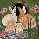 Ashley’s Bunny Burrow