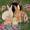 Ashley’s Bunny Burrow Discord server icon