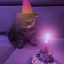 Looking for a bf💋 Discord server icon