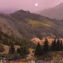 Venom in the Valley
