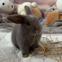 really nice server Discord server icon