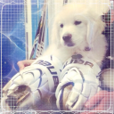 Hockey Nation Discord server icon