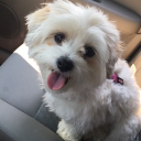 PAYING 💰 💴 Discord server icon