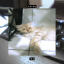 John the Pizza guy and Zardy tuff boi Discord server icon