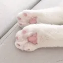🎀🐾𝐒𝐨𝐟𝐭 𝐏𝐚𝐰𝐬 𝐏𝐚𝐫𝐚𝐝𝐢𝐬𝐞🐾🎀