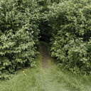 Äshna Discord server icon