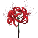 † Garden of Love † [❣🥀] Discord server icon