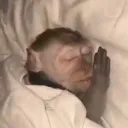 Snore