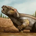 Djadochterra