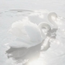 ˚₊‧꒰ა Discord server icon