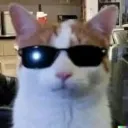 Chill Server