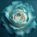 The Blue Sky's Rose