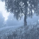 ‧˚꒰ 𝜗𝜚 𝑺𝒄𝒐𝒖𝒕𝑺𝑴𝑷 ୭ ˚. ᵎᵎ Discord server icon