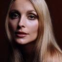 Sharon Tate Fans ✨ Discord Server