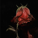 The Rose & The Wand Icon