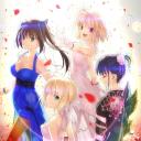 Fate/Veiled Land