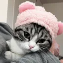🧇 Waffle’s Silly Server 🧇