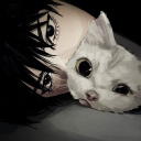 ⋆.˚ 𓈈     Eᥣყsiuო . ɗj𝟐ᥣ ︒ [RVMP] Discord server icon