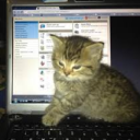 ♢  ２４Ｈ Discord server icon