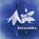 Setsuzokuꨄ 2.0 Discord server icon