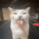 Single Braincell Syndicate Discord server icon