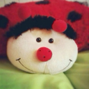 `` 𝓣 he 𝓒ocoon . ☆ Discord server icon