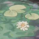 Place with a pond