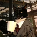 Cat Enterprises