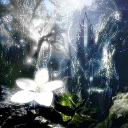 𓆝 𓆟 𓆞 𓆝 𓆟 ⊷𝓦𝓮𝓲𝓻𝓭 𝓕𝓲𝓼𝓱𝓮𝓼
