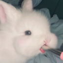 ULTIMATE DIVINITY Discord server icon