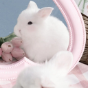 Across the Cosmos Discord server icon