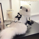 /spawn Discord server icon