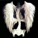 Wings Discord server icon