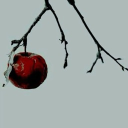 𝓮𝐯𝐞𝐫 𝐚𝖋𝖙𝐞𝐫 𝐚𝓬𝐚𝐝𝐞𝖒𝐲 . ¹⁸⁺ Discord server icon