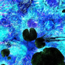 ✧. ʙʟᴜᴇ ᴘᴇᴏᴘʟᴇ ꜱᴏᴄɪᴇᴛʏ ✧. Discord server icon