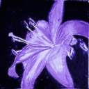 𝗭𝗲𝗽𝗵𝘆𝗿 Discord server icon