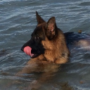 匚乇几ㄖ乙ㄖ丨匚  ┆  丂ㄩ尺ᐯ丨ᐯ卂ㄥ Discord server icon