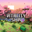 Vitality SMP