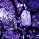 𝓣𝒘𝒊𝒍𝒊𝒈𝒉𝒕 𝓩𝒐𝒏𝒆 ˖ ࣪ ⊹