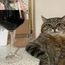 ✨ | Потужні Котята | ❤