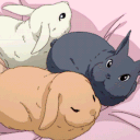 Whisker Wonderland Discord server icon