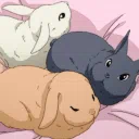 Whisker Wonderland