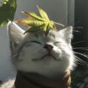 𝙕𝙖𝙣𝙠𝙮𝙤̄