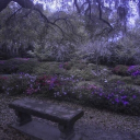 𝕷𝖎𝖟𝖟𝖞'𝖘 𝖊𝖒𝖕𝖎𝖗𝖊 Discord server icon