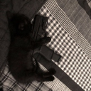 2k Discord server icon