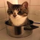 ᵗʰᵉ ᵇᵃˢᵉᵐᵉⁿᵗ