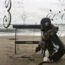 ⊹ ﹕ ⟡ v a n i t y ⟡ Discord server icon