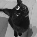 ꒰ა ᴀʀᴄʜɪᴠᴇꜱ ໒꒱
