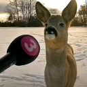 Gooner place Discord server icon